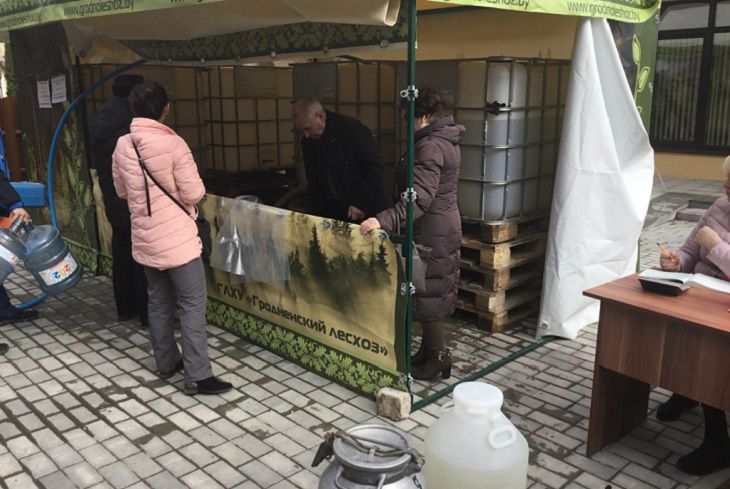  Как на Гродненщине поили жителей березовым соком 