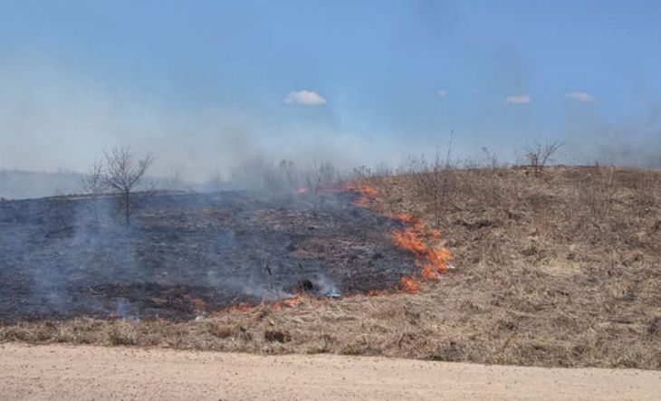 Поджигателя сухой травы задержали в Витебском районе местные жители