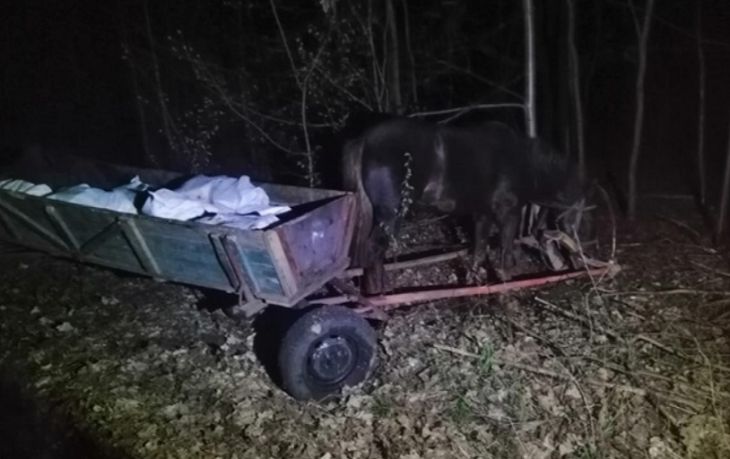 Ночью трое украинцев на телегах пытались вывезти в Беларусь почти тонну сала Ночью трое украинцев на телегах пытались вывезти в Беларусь почти тонну сала
