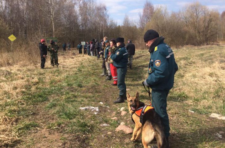 «Не исключен криминальный след». Поиски 2-летнего мальчика в Каменецком районе идут третьи сутки