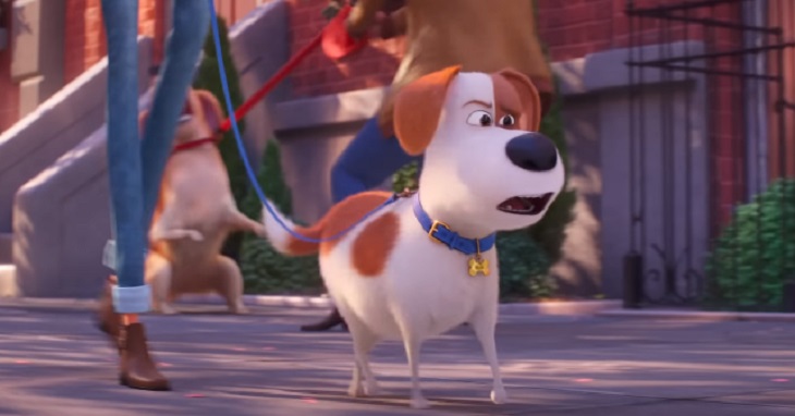 Вышел первый трейлер мультфильма «Тайна домашних животных 2»