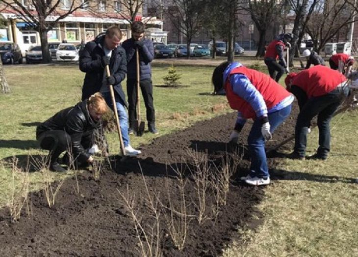 Стартует «Неделя леса». В Минске появятся сотни новых деревьев 