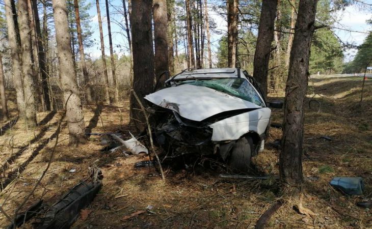Нетрезвая бесправница врезалась в дерево в Речицком районе, пассажир в реанимации