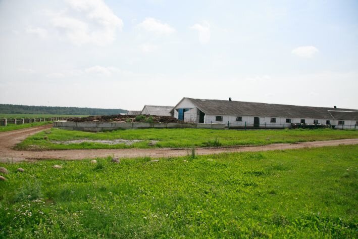 На ферме в Октябрьском районе игнорировали роботов за 1 млн евро. Ущерб огромен 