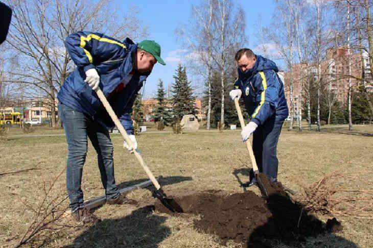 По шесть на чиновника: как в Беларуси будут высаживать деревья По шесть на чиновника: как в Беларуси будут высаживать деревья