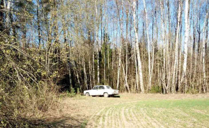 Найдено тело пропавшего в Вороновском районе мужчины