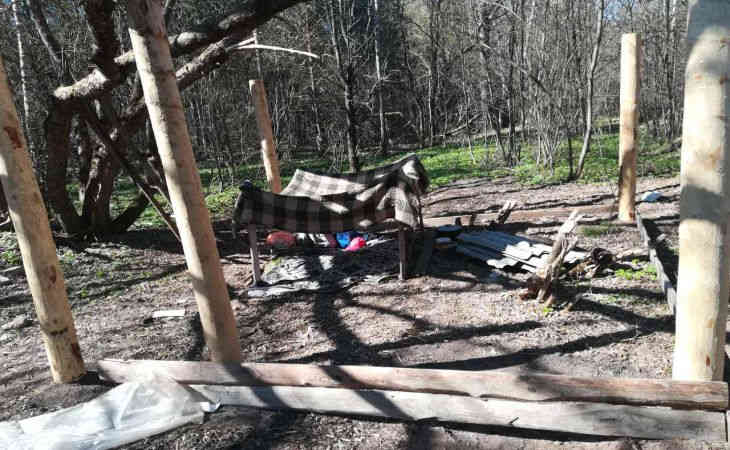 Пропавших в Логойском районе подростков нашли в шалаше у озера