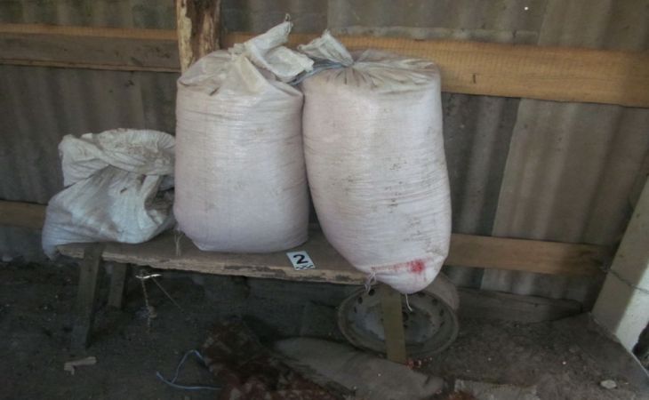 В Костюковичском районе главный агроном на протяжении года похищал ядохимикаты