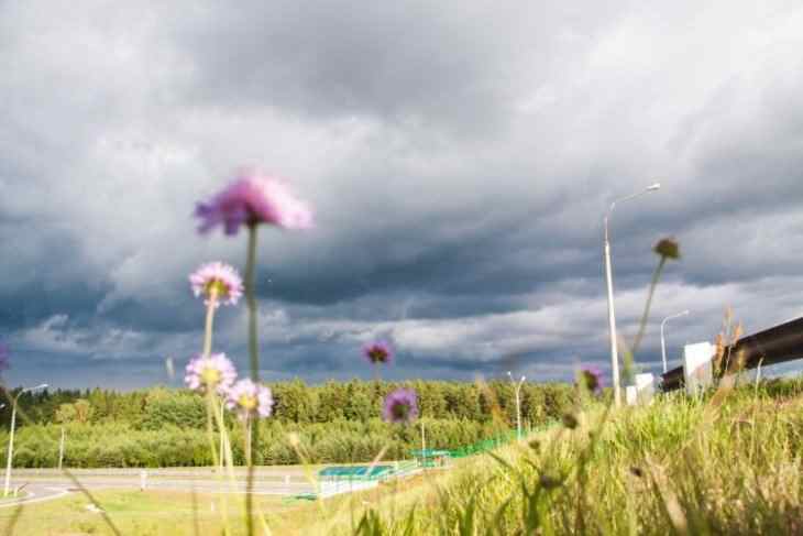 Прогноз погоды на день 22 апреля 2019 года: тепло и без осадков Прогноз погоды на день 22 апреля 2019 года: тепло и без осадков