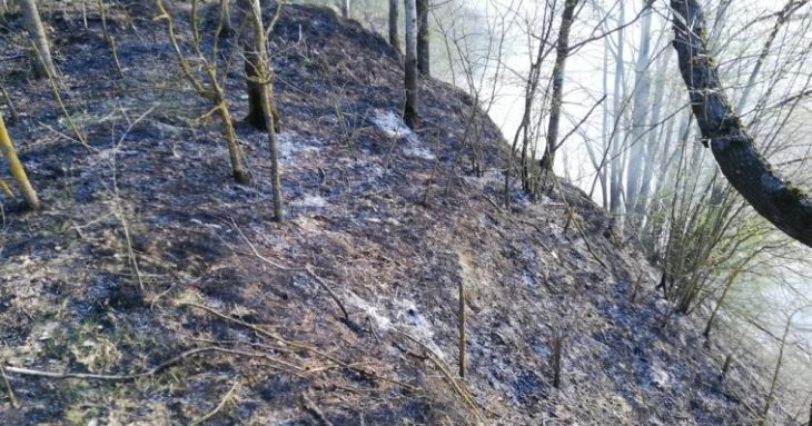 В Жлобинском районе рыбак получил ожоги, пытаясь самостоятельно потушить огонь