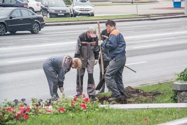 Безработица в Беларуси составила 4,6 % по международной методике