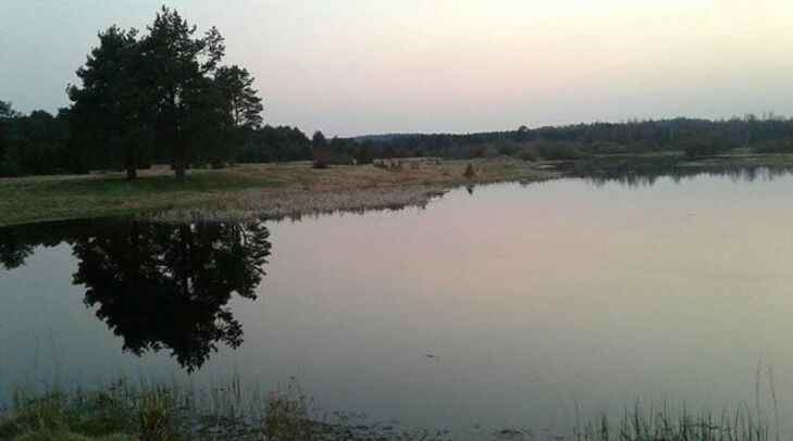 «Пропал из виду на несколько минут»: в Бегомле на водоеме погиб 4-летний мальчик