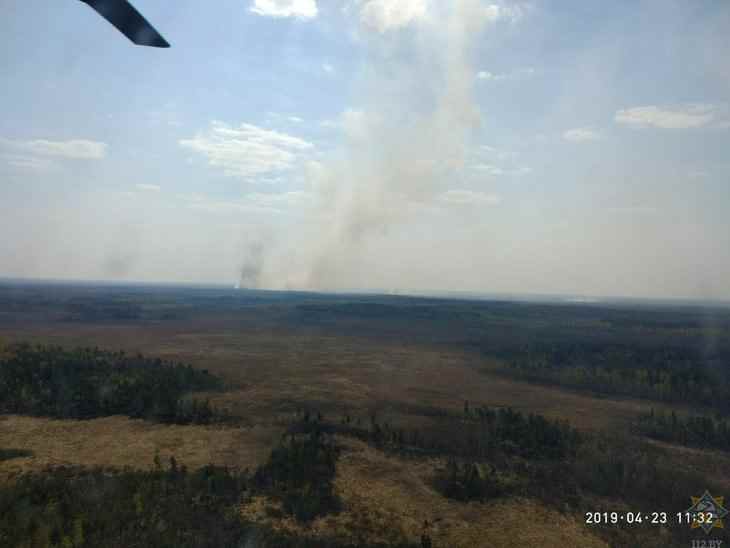 В Столинском районе – крупный пожар: горит 200 гектаров леса и сухой травы В Столинском районе – крупный пожар: горит 200 гектаров леса и сухой травы