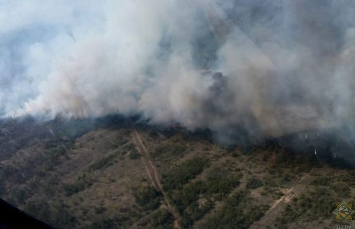 87 пожаров за сутки. По всей Беларуси горят леса и торфяники