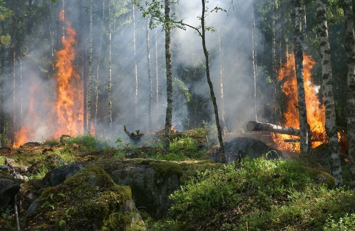 Белорусские пожарные спасают украинскую деревню от огня