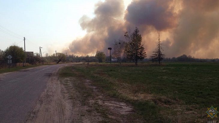В Наровлянском районе пожар охватил площадь в 300 гектаров