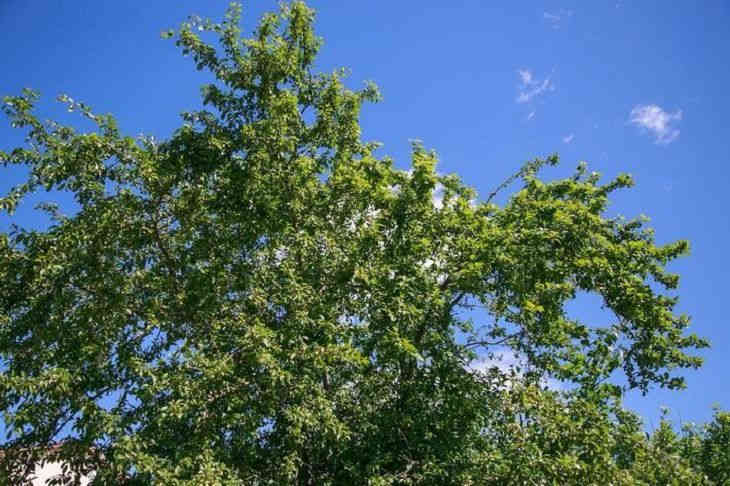 Погода на 27-30 апреля 2019 года: что будет на Пасху 