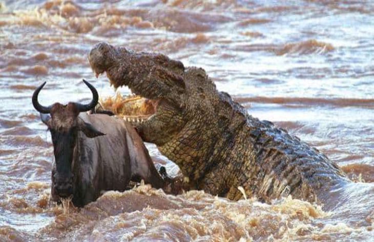 Топ-5 интересных рекордов