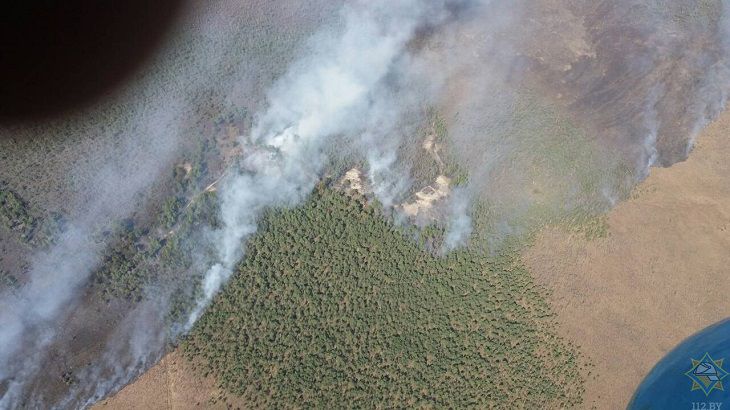 МЧС: пожар на Ольманских болотах ликвидирован 