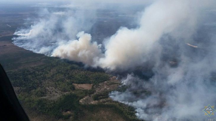 МЧС: пожар на Ольманских болотах ликвидирован 