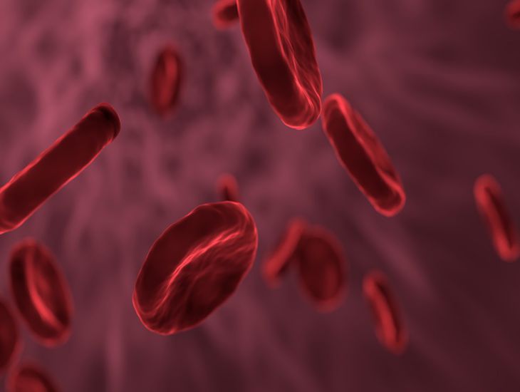 Ученые назвали самую редкую и уникальную группу крови
