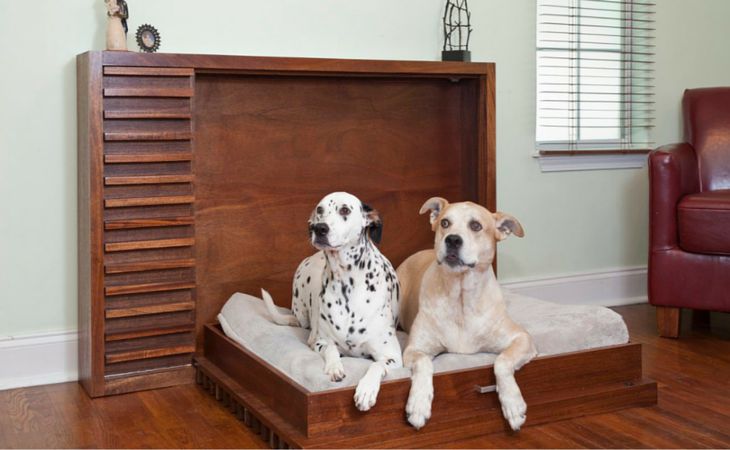 Опытные собаководы рассказывают, как правильно обустроить место для собаки в доме Опытные собаководы рассказывают, как правильно обустроить место для собаки в доме