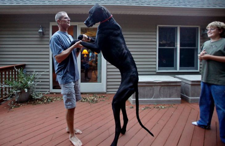 Удивительные мировые рекорды Удивительные мировые рекорды