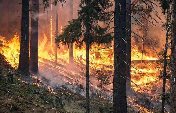 Правительство Беларуси приняло дополнительные меры по обеспечению пожарной безопасности