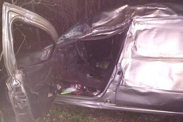 В Гомельском районе водитель уснул за рулем и погиб