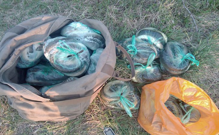 В Мядельском районе трое браконьеров добыли 45 кг угря