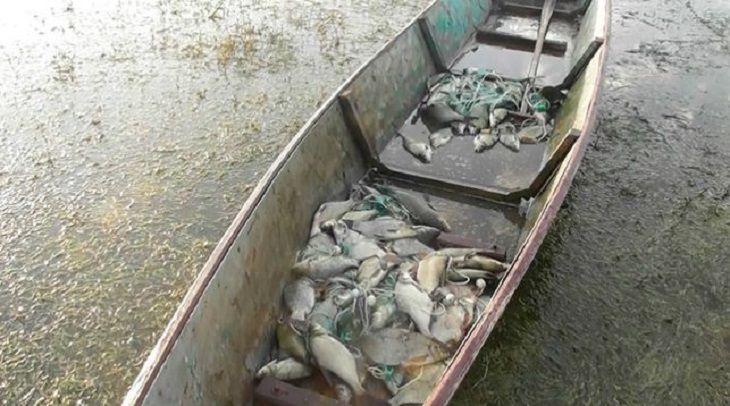 Под Березой поймали матерого браконьера: орудовал по-крупному Под Березой поймали матерого браконьера: орудовал по-крупному