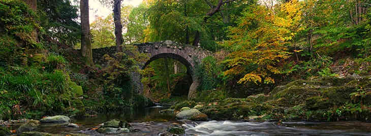 Какой сегодня праздник: 4 мая 2019 года Какой сегодня праздник: 4 мая 2019 года