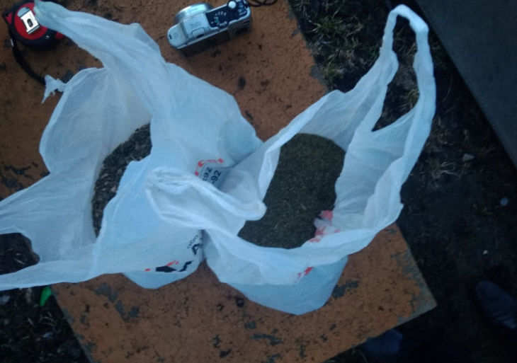 Житель Жлобина хранил дома почти килограмм марихуаны