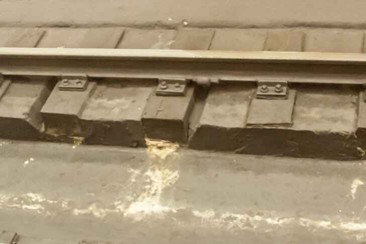 Мужчина догонял поезд, а попал под колеса другого