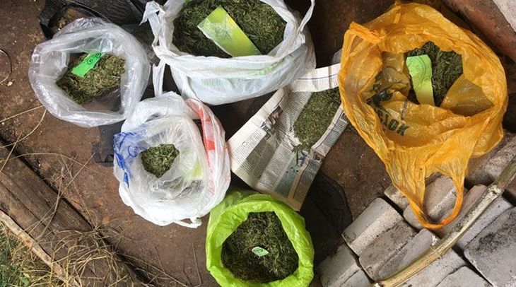 Правоохранители изъяли у бобруйчанина 550 г марихуаны Правоохранители изъяли у бобруйчанина 550 г марихуаны