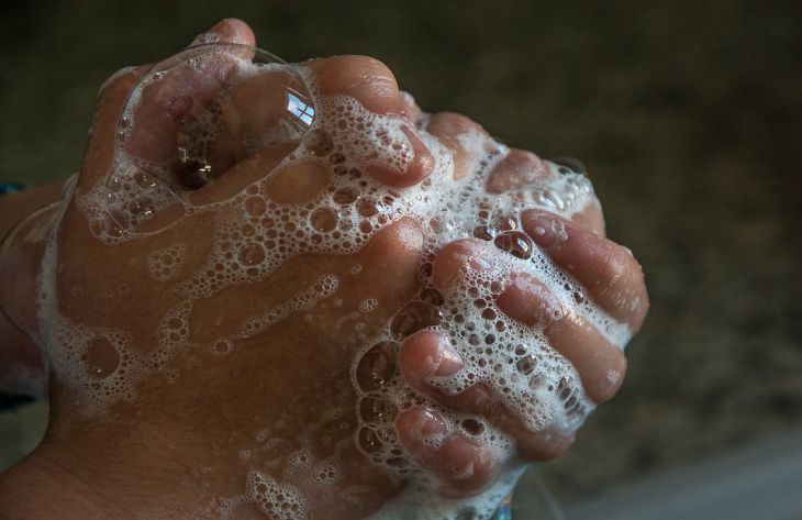  Специалисты рассказали, как мыть руки правильно