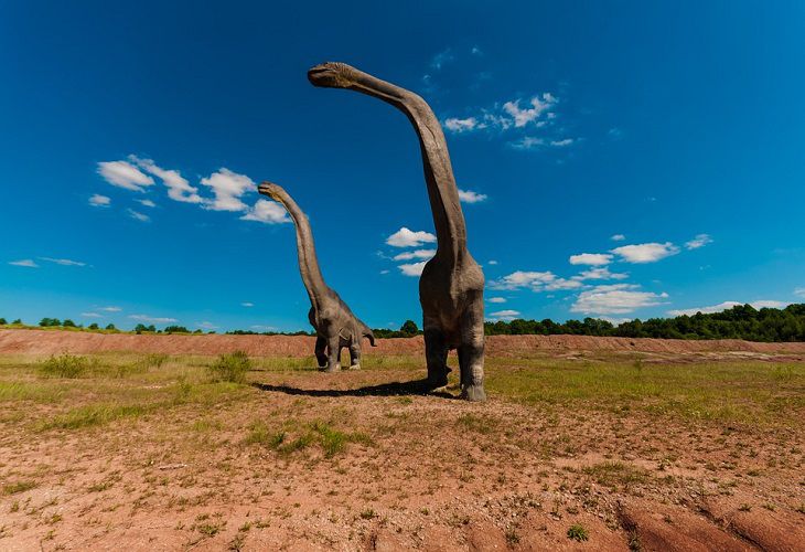 Палеонтологи обнаружили в Якутии останки гигантских ящеров