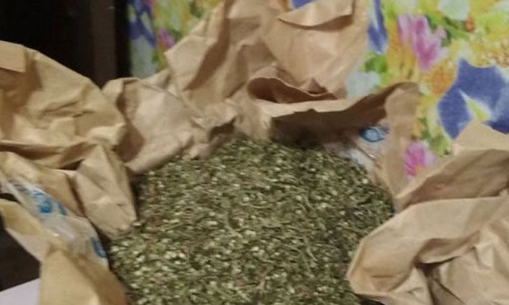 У жителя Борисовского района изъяли около 4 кг марихуаны У жителя Борисовского района изъяли около 4 кг марихуаны