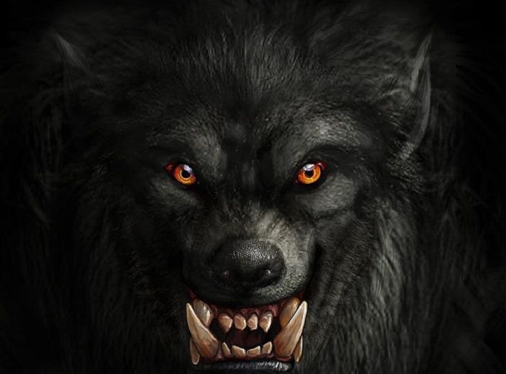 “Таинственный демон”: Во Флориде обнаружены останки странного существа “Таинственный демон”: Во Флориде обнаружены останки странного существа