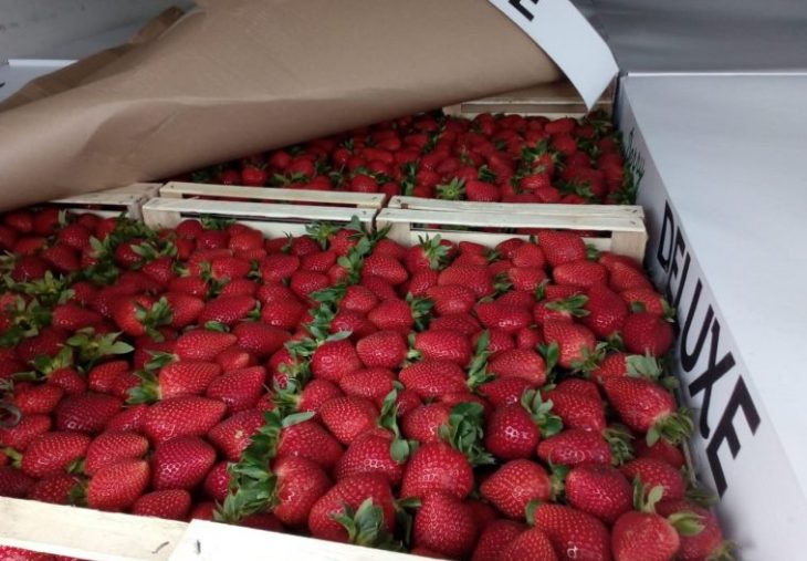  Смоленская таможня задержала 100 тонн санкционных грузов из Беларуси