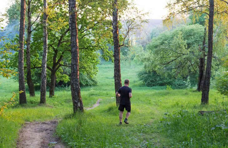 Ученые выявили взаимосвязь между зарядкой и интеллектуальными способностями Ученые выявили взаимосвязь между зарядкой и интеллектуальными способностями
