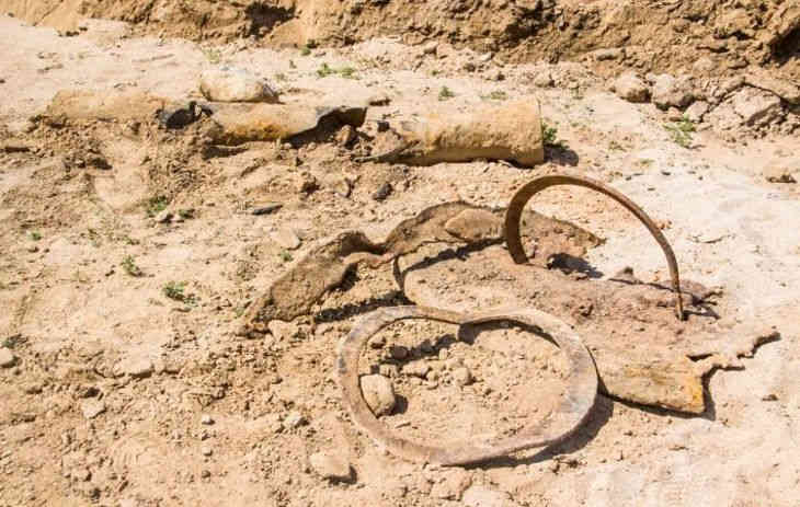 Ученые откопали в Китае до сих пор неизвестный вид панды Ученые откопали в Китае до сих пор неизвестный вид панды