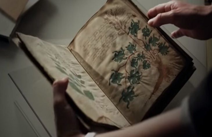 Ученым удалось расшифровать манускрипт Войнича