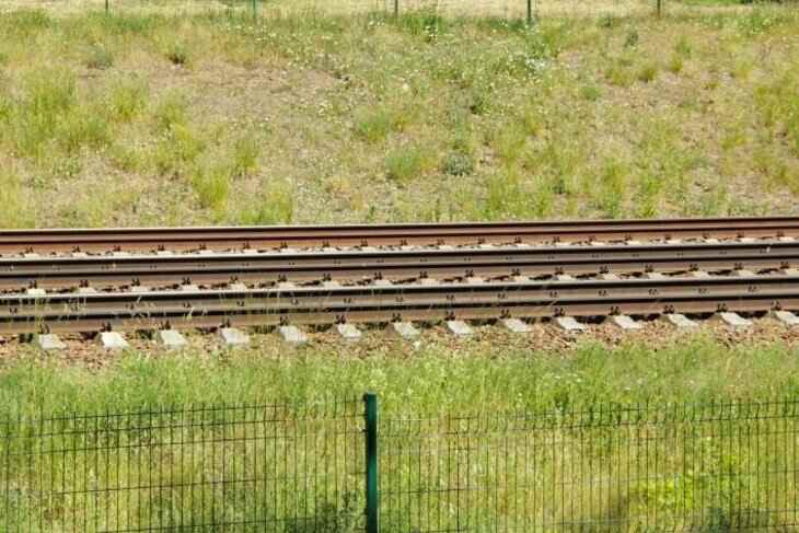 Под Борисовом пенсионер попал под товарняк