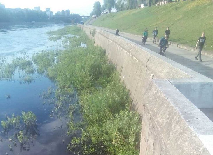 В Витебске в реку упал ребенок, спасатели пришли ему на помощь