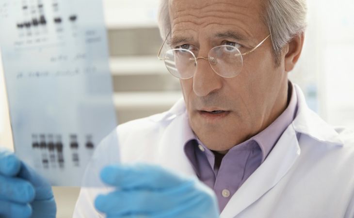 Учёные заявляют о необходимости убийства животных Учёные заявляют о необходимости убийства животных