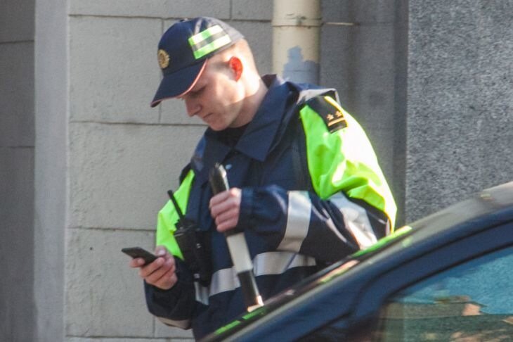 В Гомеле разыскивают водителя, который сбил косулю и скрылся