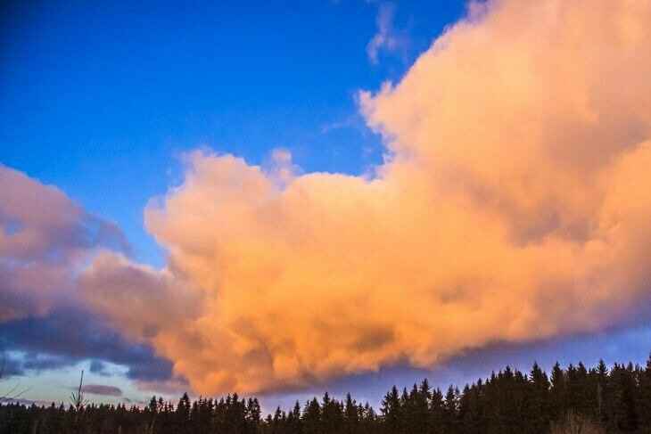 Погода на 19 мая 2019 года: кратковременные дожди, местами грозы