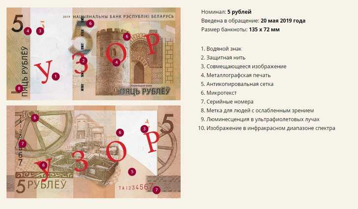 В Беларуси ввели в обращение новые банкноты