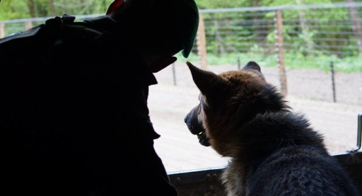 Белорус потерял паспорт в Литве и пытался незаконно вернуться домой Белорус потерял паспорт в Литве и пытался незаконно вернуться домой